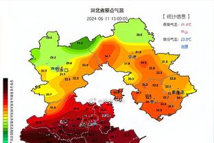 英超官方：因洛克耶突然昏倒，伯恩茅斯对阵卢顿的比赛取消